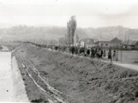 Petrinjčica, nasip, sadnja lipa, listopad 1960. godine